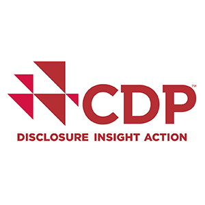 CDPパートナー